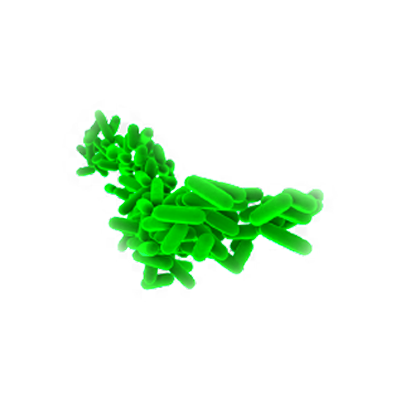OLIVE_SPA_zubni_belici_pasta_Spirulina_07